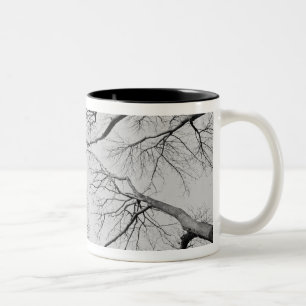 Leafless Trees in Thiepval Wood Two-Tone Coffee Mug