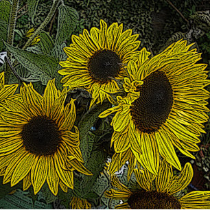 leafy background with large yellow sun flowers jigsaw puzzle