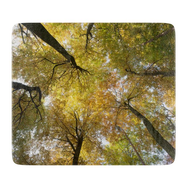 Leafy Canopy Cutting Board (Front)