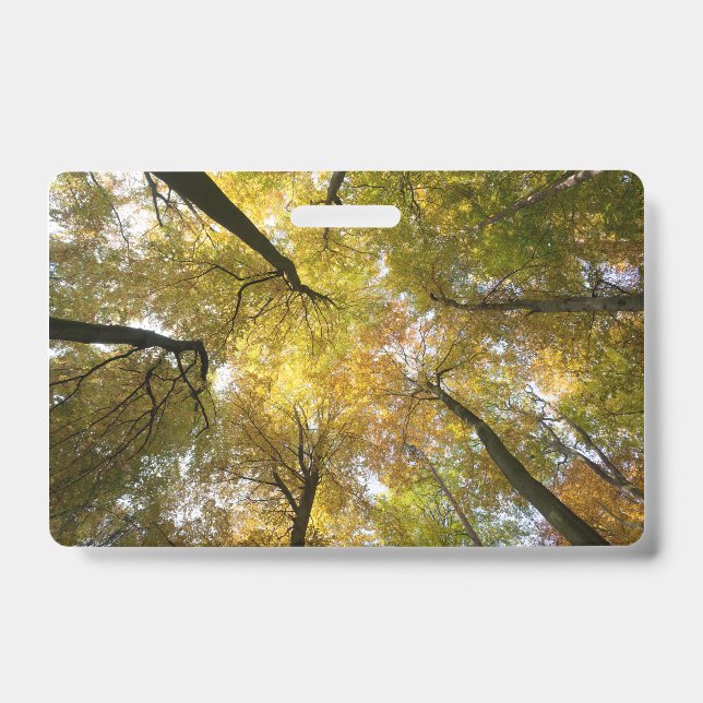 Leafy Canopy ID Badge (Front)