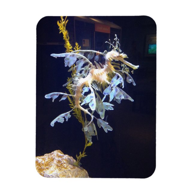 Leafy Dragon Magnet (Vertical)