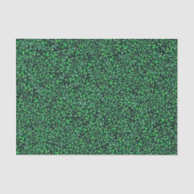 Leafy Elegance Botanical Pattern Tissue Paper (Front)