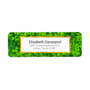 Leafy Green Clovers with Water Droplets