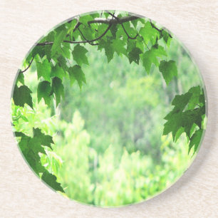 Leafy Green Coaster
