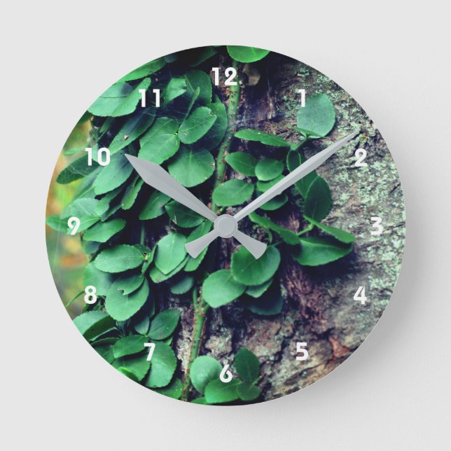 Leafy Green Vine Growing On Tree Trunk  Round Clock (Front)