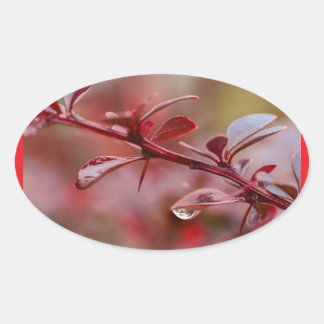 leafy red oval sticker