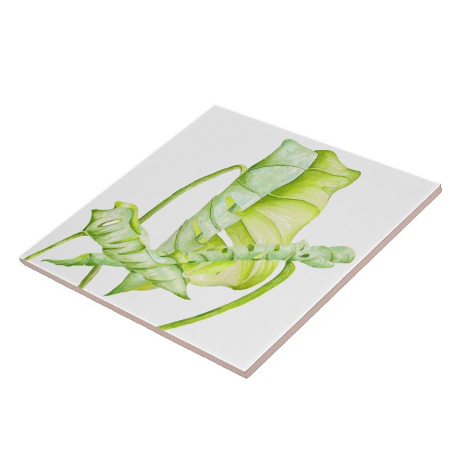 Leafy Sculptures on a Ceramic Tile (3) (Side)