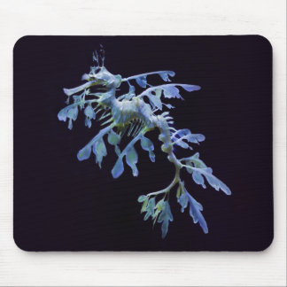 Leafy Sea Dragon Mousemat