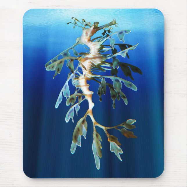 Leafy Sea Dragon Mousepad (Front)