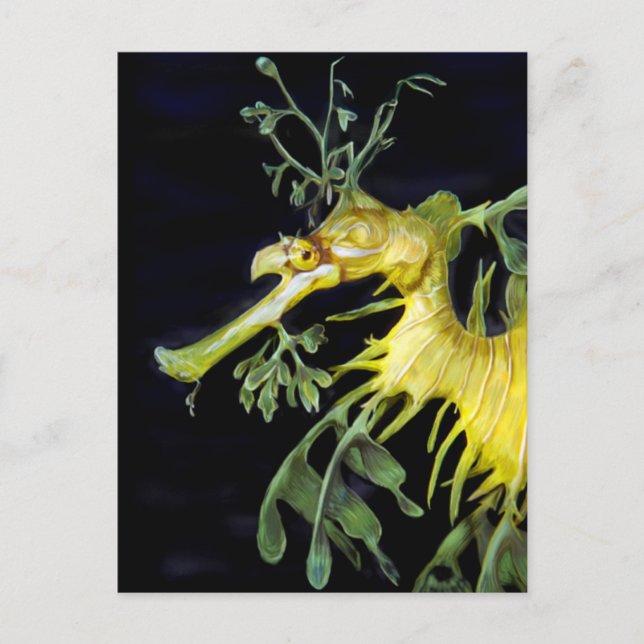 Leafy Sea Dragon Postcard (Front)