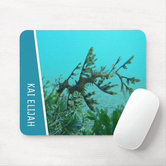 Leafy Sea Dragon Underwater Mouse Mat (With Mouse)