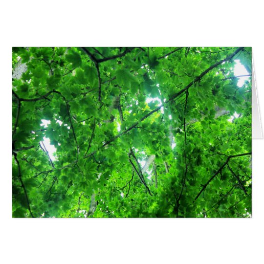 Leafy Tree Card