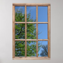 Leafy Tree View from a Window