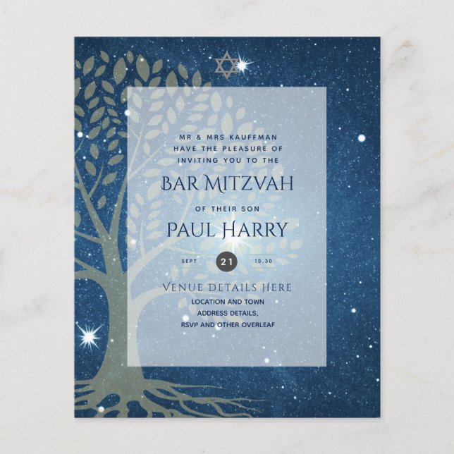 LeahG Elegant Chic Bar Mitzvah Jewish Torah Chic Flyer (Front)