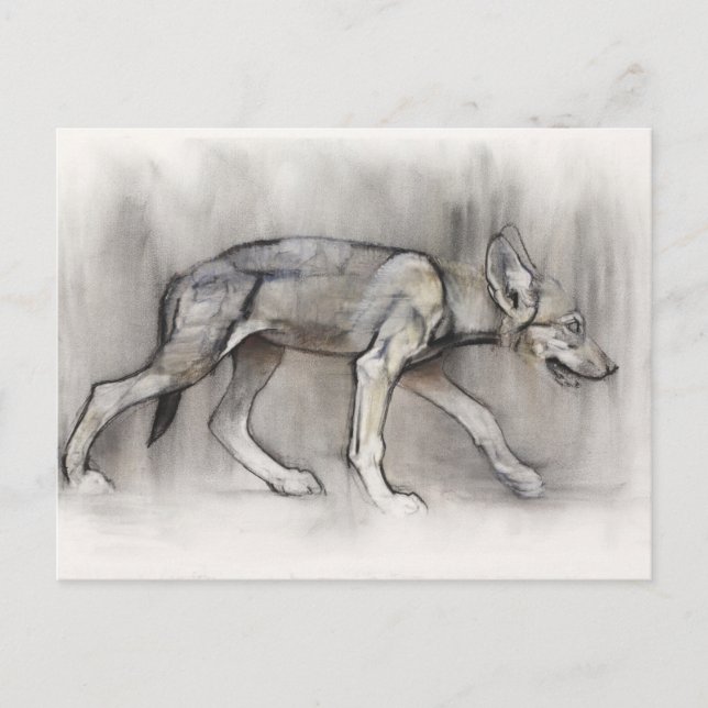 Lean Pup Postcard (Front)