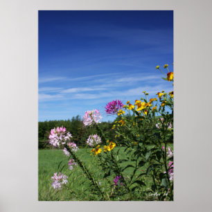 Leaning Flowers Poster