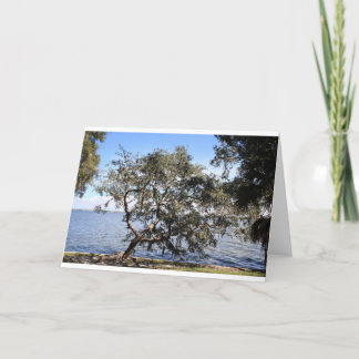 "Leaning live oak" note cards