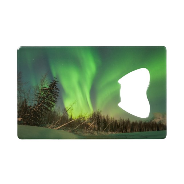 Leaning Spruce Aurora (Back Horizontal)
