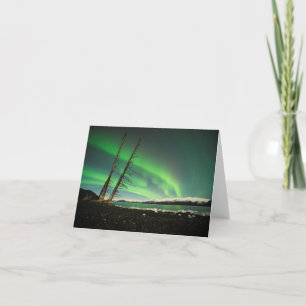 Leaning Tree Aurora Card