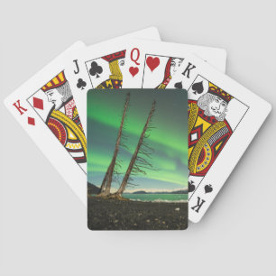 Leaning Tree Aurora Playing Cards