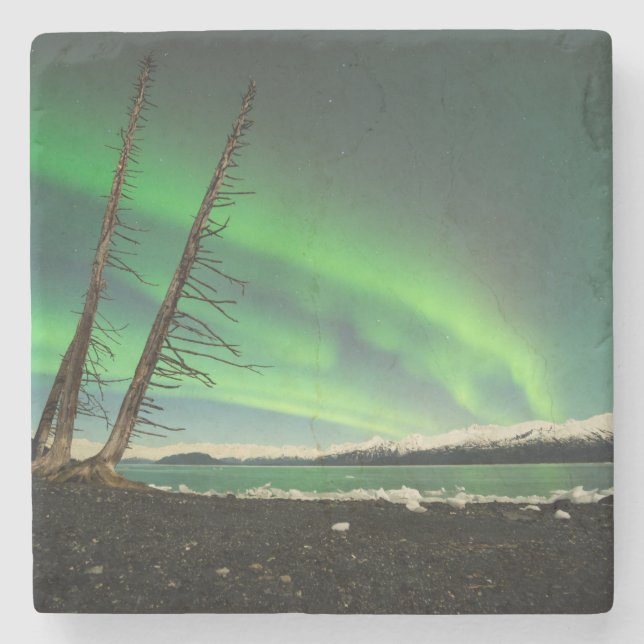 Leaning Tree Aurora Stone Coaster (Front)