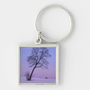Leaning Tree in Snowy Field; Chippewa County; Key Ring