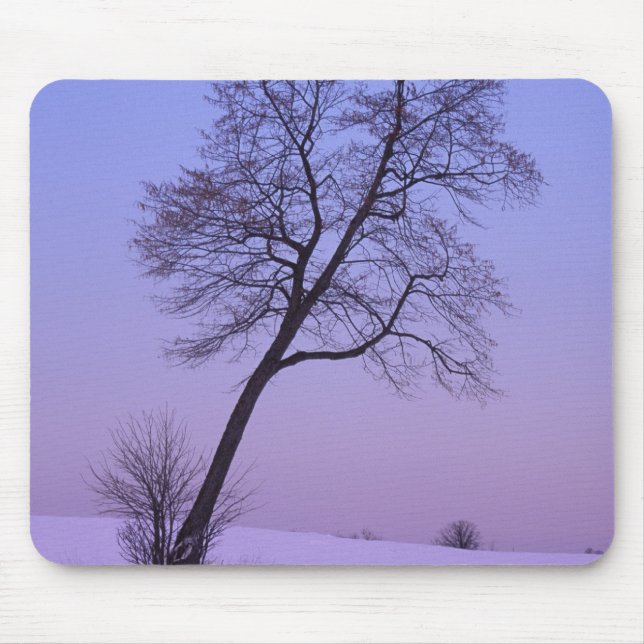 Leaning Tree in Snowy Field; Chippewa County; Mouse Mat (Front)