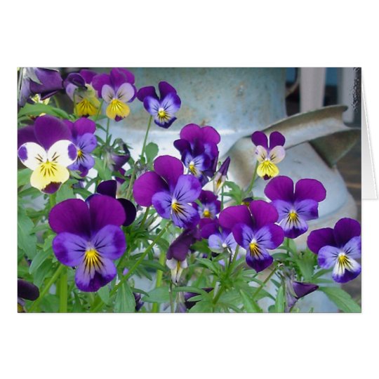 LeAnn's Violets Card