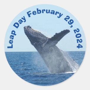 Leap Day February 29, 2024 Classic Round Sticker
