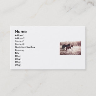 Leap For Joy Foal and Mare Business Card
