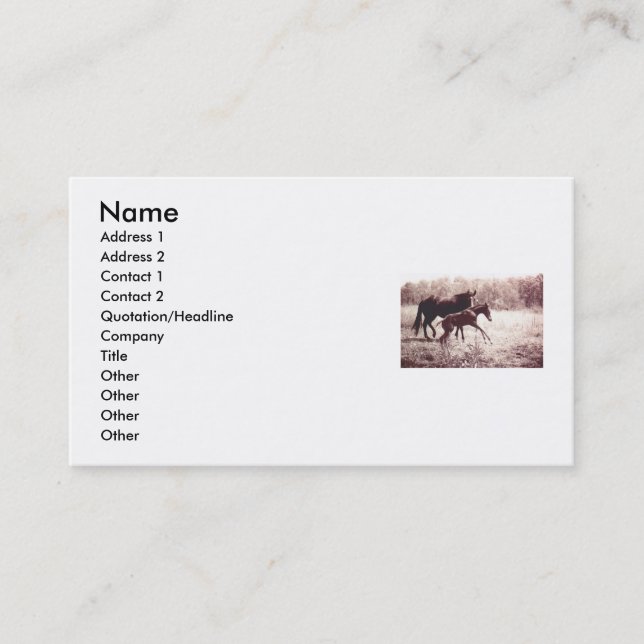 Leap For Joy Foal and Mare Business Card (Front)