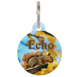 Leap Pet Tag
