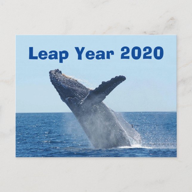Leap Year 2020 Postcard (Front)