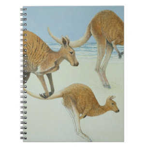 Leaping ahead notebook