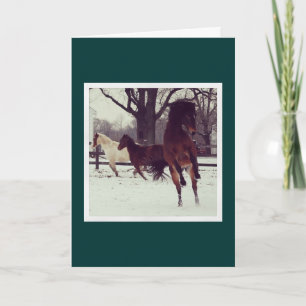 Leaping Avery Holiday Card