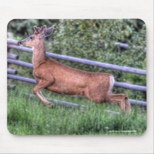 Leaping Deer Buck on Ranch Wildlife Photo Mouse Mat