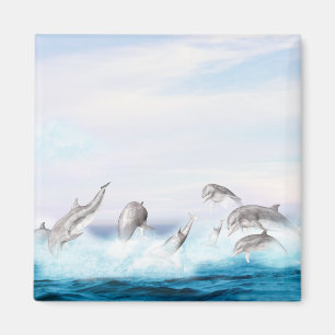 Leaping Dolphins Magnet