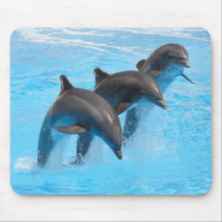 Leaping Dolphins Mouse Mat