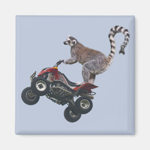 Leaping Lemur Magnet