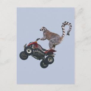 Leaping Lemur Postcard