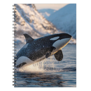 Leaping Orca Arctic Ocean Wildlife Art Notebook