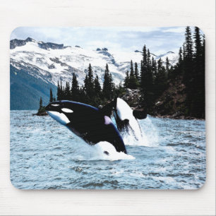 Leaping Orca Mouse Mat