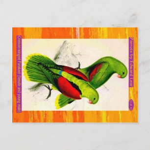 Lear. Crimson-winged Parakeet. Female & young male Postcard