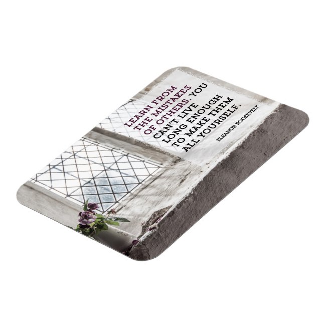 Learn From Mistakes of Others Magnet (Left Side)