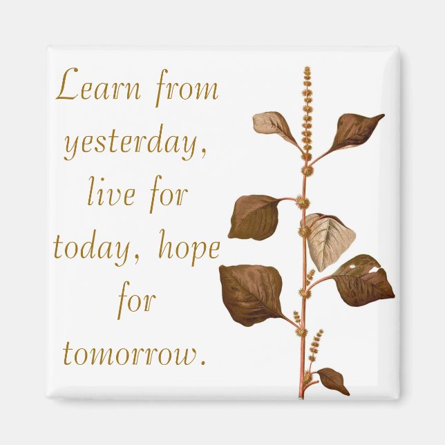 Learn from yesterday, live for today, hope for tom magnet (Front)