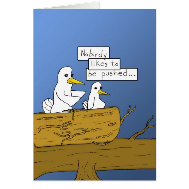 learn-how-to-fly (Front)