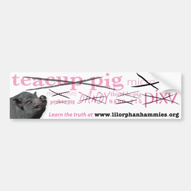Learn the Truth! Bumper Sticker (Front)