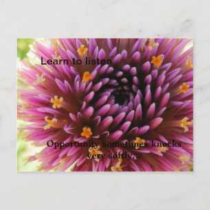 Learn to listen, Opportunity sometime... Postcard