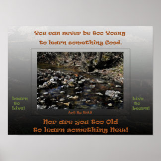 Learn to Live Live to Learn 2 Poster