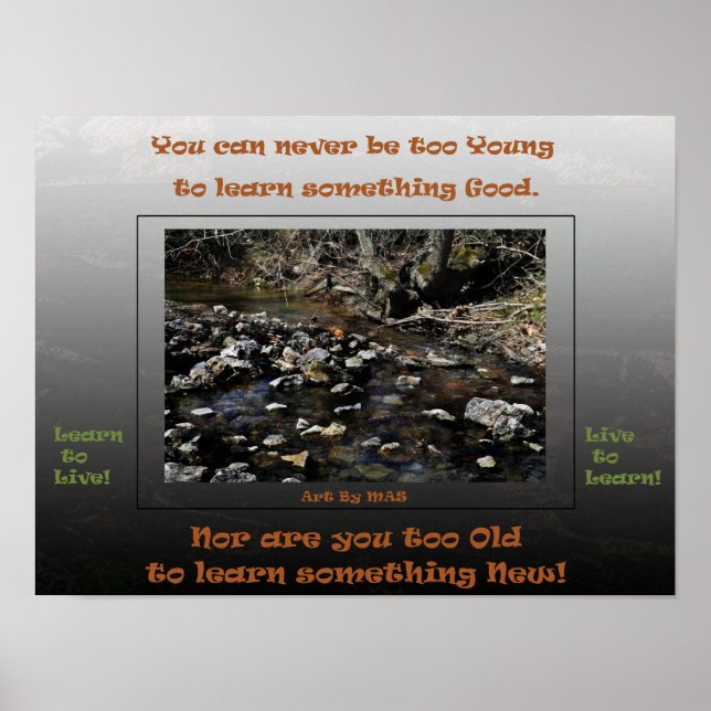 Learn to Live Live to Learn 2 Poster (Front)